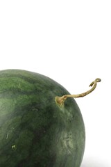 close up of watermelon fruit