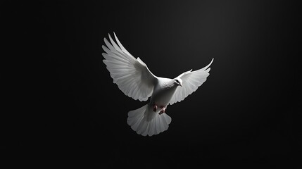 Fototapeta premium White dove flying on black background and Clipping path freedom concept and international day of peace : Generative AI