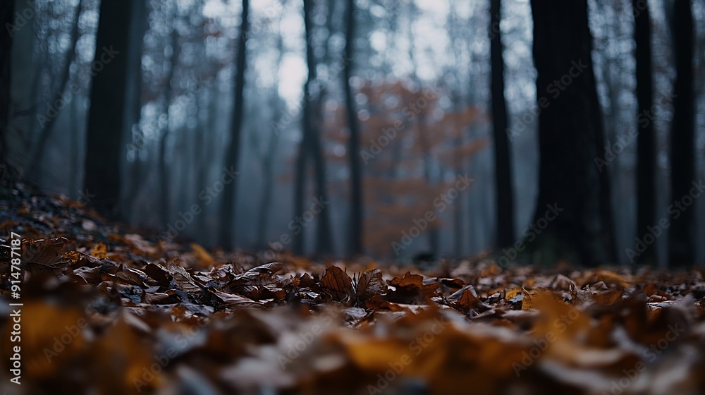 Aufkleber moody autumn view in the forest fall season background photo brown fallen leaves on the ground : gen