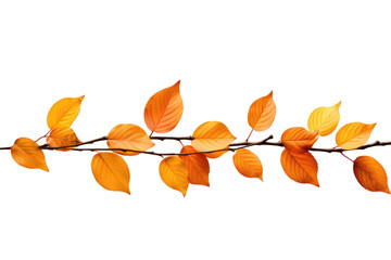 A line of orange leaves on a white background