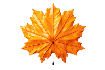 Fototapeta premium A leaf with a stem is shown in a close up