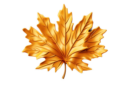 golden maple leaf on white background clip art preview