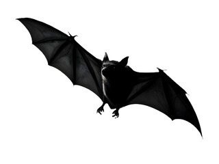 Colorful Umbrella Silhouettes with a Bat on a White Background