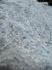 Surface of melting glacier showing ash and dirt deposits