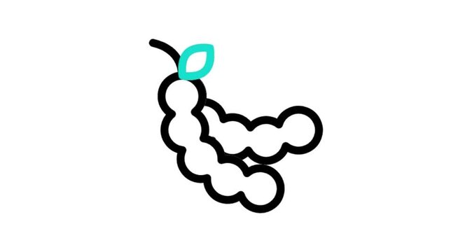 illustration of an heart