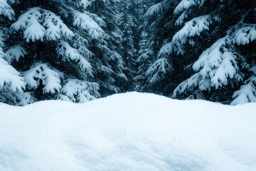 Obraz premium Snowy winter forest landscape
