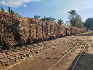 A lorry carrying sugarcane to the production section of the factory.