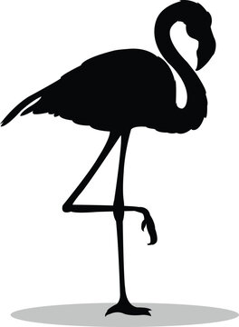 recommend clip art: Flamingos Silhouette, Flamingos Vector Silhouette, Flamingos cartoon Silhouette, Flamingos illustration, Flamingos icon Silhouette, Flamingos Silhouette illustration
