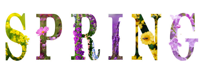 text from spring flowers isolated on white 