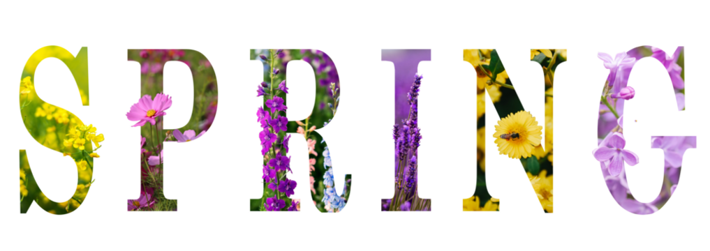 text from spring flowers isolated on white 