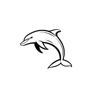 recommend clip art: dolphin isolated on white background