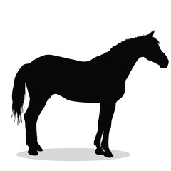 Horse Silhouette,  Horse Vector Silhouette, Horse cartoon Silhouette , Horse Free Silhouette, Horse Silhouette Vector, Horse, Horse icon, Horse vector,																									