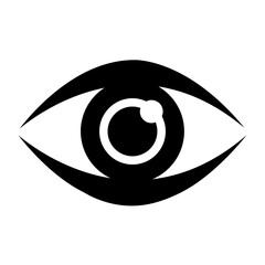Eye icon representing visual organ.