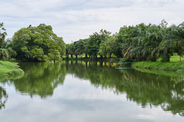 Fototapeta premium The King Rama IX city park in the island of Phuket, Thailand