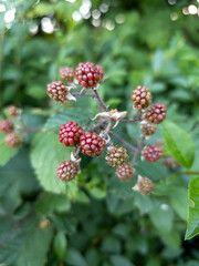 Edinburgh, Scotland, UK