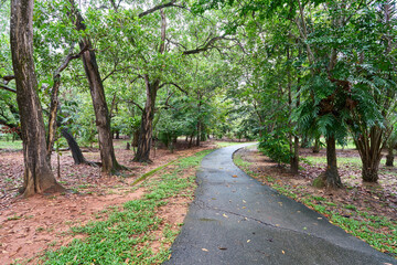 The King Rama IX city park in the island of  Phuket, Thailand