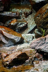 waterfall in the forest