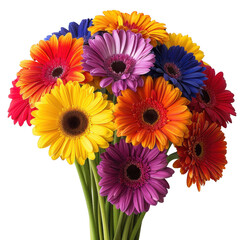 A bouquet of colorful flowers with a white background