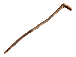 Walking stick isolated on transparent background