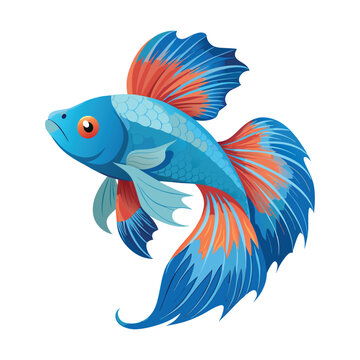 recommend clip art: Betta fish art illustration vector