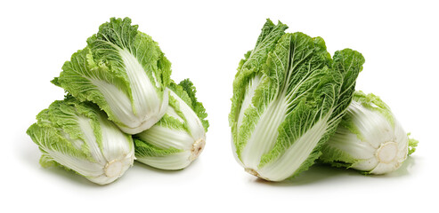 Chinese cabbage on white background 