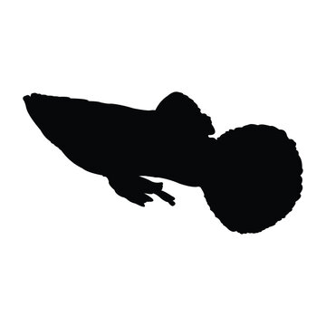 recommend clip art: black guppy fish silhouette vector design on white background.