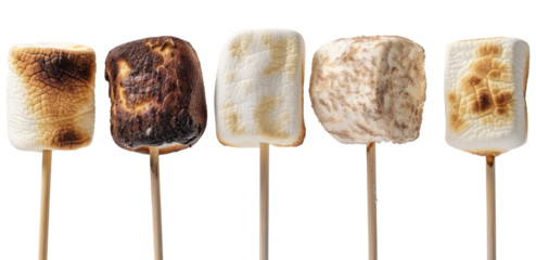 Five marshmallows on sticks, from unburnt to charred, on a empty background.