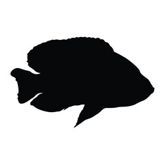black freshwater ornamental fish silhouette vector design on a white background