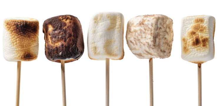 Five marshmallows on sticks, from unburnt to charred, on a empty background.