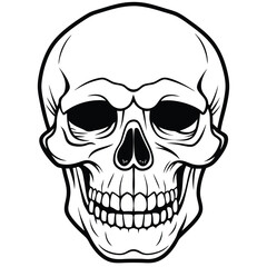 Fototapeta premium A set of five different greyscale vector illustrations of human skulls in various views and expressions.