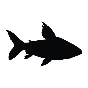 recommend clip art: black freshwater ornamental fish silhouette vector design on a white background