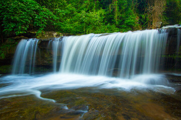 Obraz premium waterfall in the woods