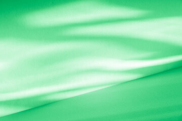 Wall interior background, studio and backdrops show products. with leaf shadow from window color green and white. background for text insertion and presentation of product