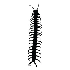 insect silhouette vector design in black on a white background