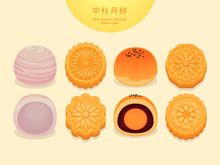 Vector delicious mooncake and yolk pastry of mid autumn festival
