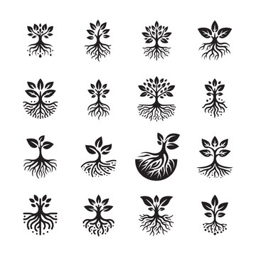 Roots Icon
