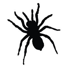 insect silhouette vector design in black on a white background