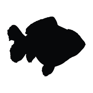 recommend clip art: black goldfish silhouette vector design on white background