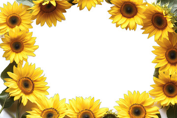 Decorative Frame Sunflowers isolated on white background