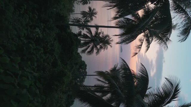 Seashore adorned with tropical palms under majestic cloudy sky vertical video. Tropical palms offer quietude amidst nature murmur Tropical palms waves rhythm picturesque peaceful retreat.