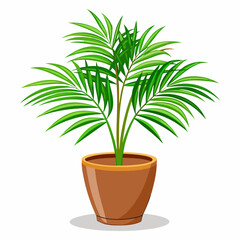 Vector illustration of an Areca Palm in a pot