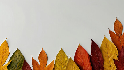 autumn fall colorful foliage leaf leaves on white background for customizable negative text space for typography