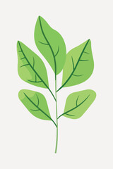 Fototapeta premium flat leaf plant illustration vector