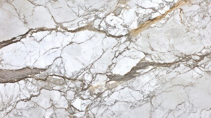 White Marble Surface with Intricate Veining