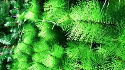 Closeup of artificial tree in Christmas decoration