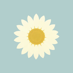 Minimalist daisy flower illustration