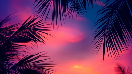 Obraz premium Silhouettes of Palm Leaves Against a Vibrant Sunset