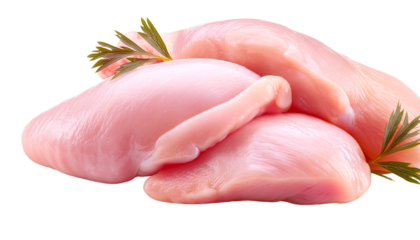 Fresh raw chicken breast fillets with herbs, perfect for healthy meals and recipes. Ideal for cooking and food presentation.