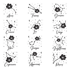 Vector illustration of zodiac signs with flower, crescent moon and stars