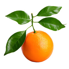 3d render orange with transparent background